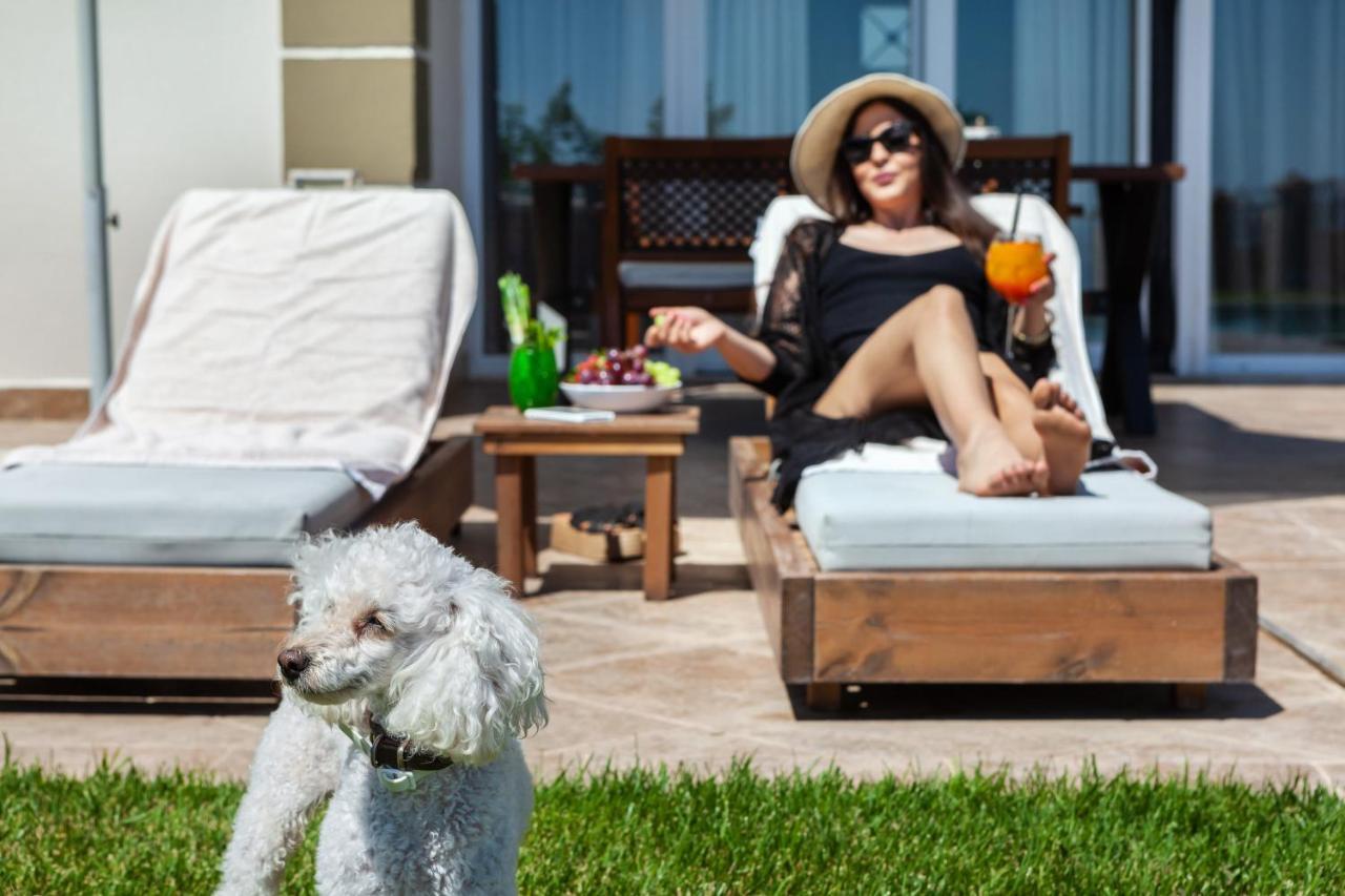 Sunny Villas Resort & Spa ハニオティス エクステリア 写真